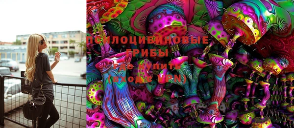 мяу мяу мука Арсеньев