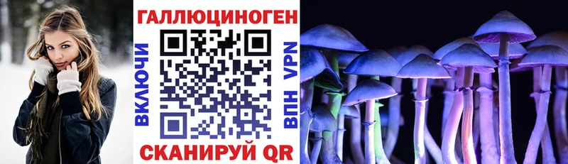 Галлюциногенные грибы MAGIC MUSHROOMS  продажа наркотиков  сайты даркнета телеграм  Сортавала 